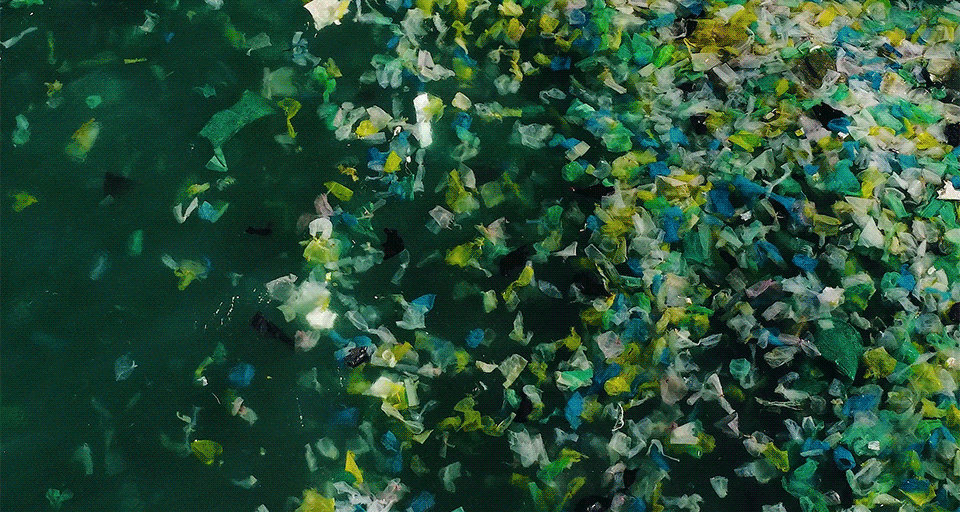Greenloop animated background