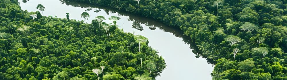 sustainability  background